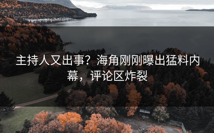 主持人又出事？海角刚刚曝出猛料内幕，评论区炸裂