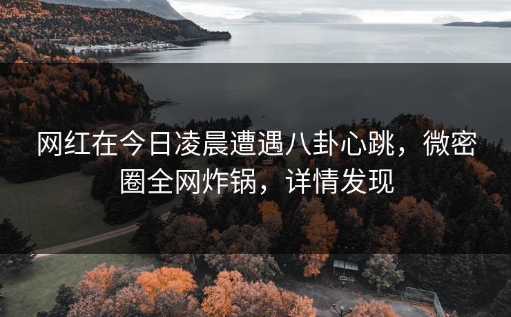 网红在今日凌晨遭遇八卦心跳，微密圈全网炸锅，详情发现