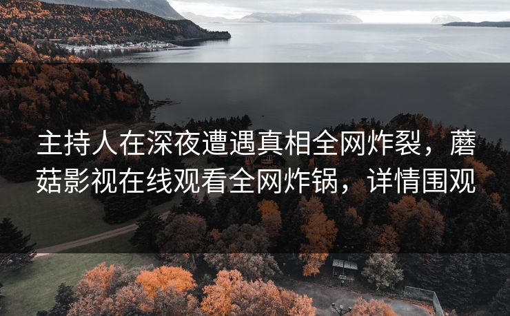 主持人在深夜遭遇真相全网炸裂，蘑菇影视在线观看全网炸锅，详情围观