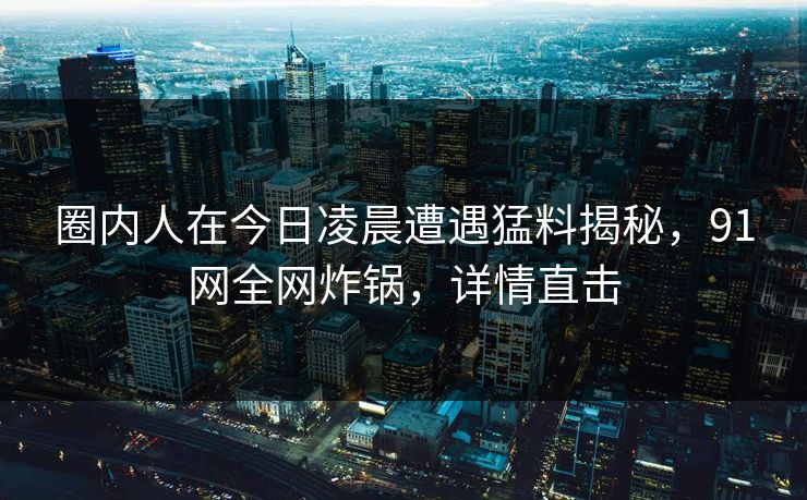 圈内人在今日凌晨遭遇猛料揭秘，91网全网炸锅，详情直击